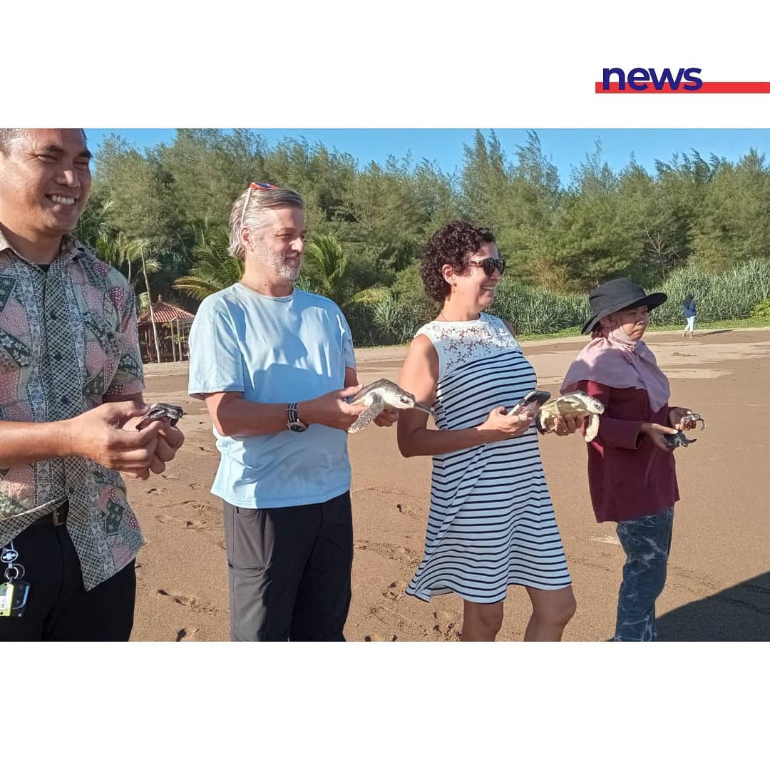 Upaya Pelestarian Penyu di Pantai Taman Kili-Kili Diapresiasi Chief of Party USAID Bijak Indonesia