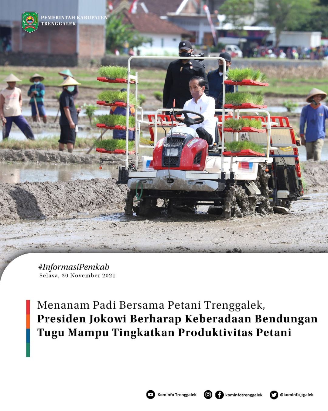 Menanam Padi Bersama Petani Trenggalek, Presiden Jokowi Berharap Keberadaan Bendungan Tugu Mampu Tingkatkan Produktifitas Petani