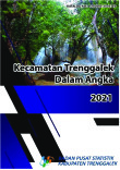 Cover Buku Kecamatan Trenggalek Dalam Angka